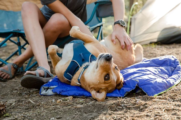 Спальный мешок для собак Ruffwear® Highlands Sleeping Bag™