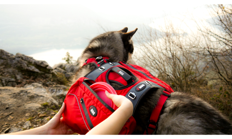 I-DOG® CONFORT TREK BAGS