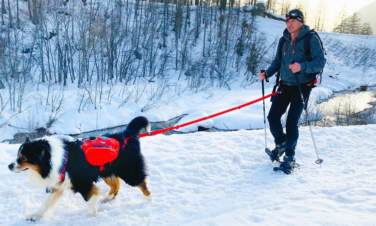 I-DOG® CONFORT TREK BAGS