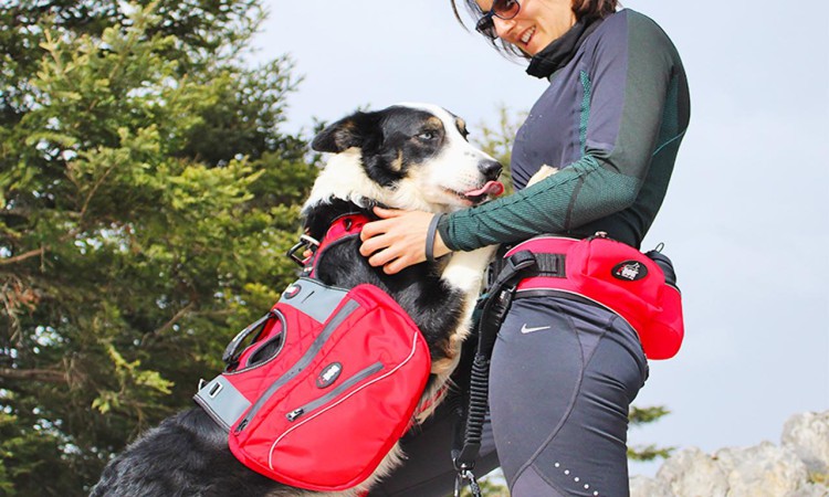 I-DOG® CONFORT TREK BAGS