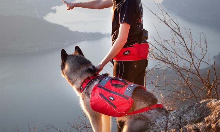 I-DOG® CONFORT TREK BAGS