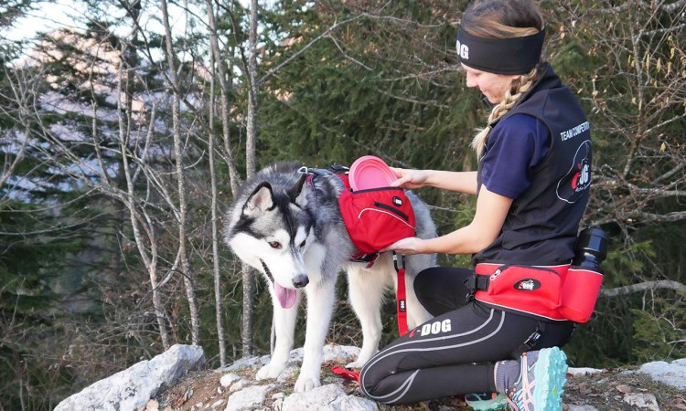 I-DOG® CONFORT TREK BAGS