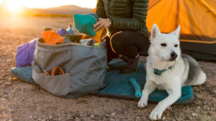 Сумка Ruffwear® Haul Bag™