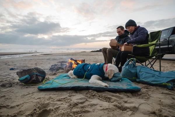 Сумка Ruffwear® Haul Bag™