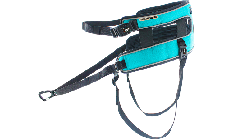 I-DOG® CANYON HIPBELT