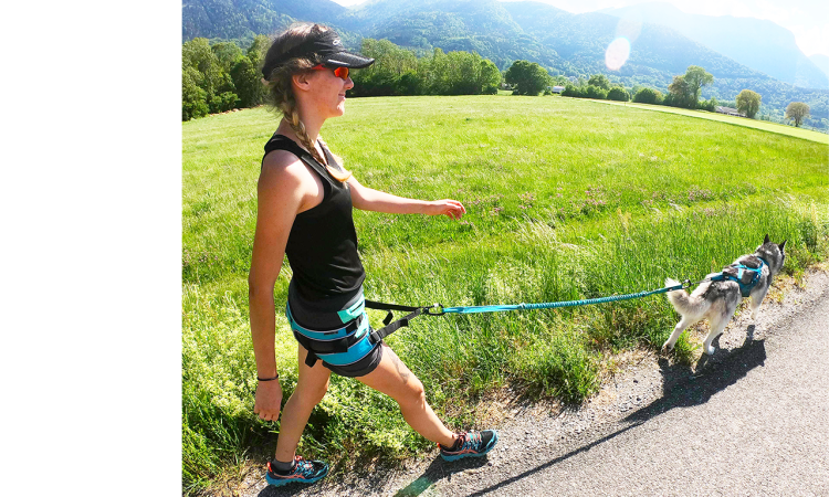I-DOG® CANYON HIPBELT