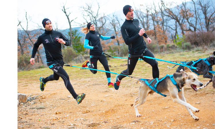 I-DOG® CANYON HIPBELT