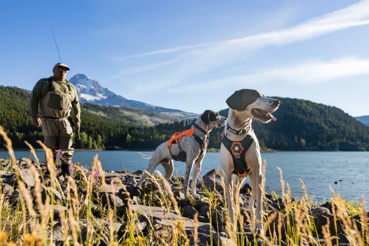 RUFFWEAR® Brush Guard™ накладка дополнительной безопасности (разгрузка) 
