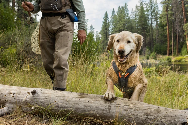 RUFFWEAR® Brush Guard™ накладка дополнительной безопасности (разгрузка) 