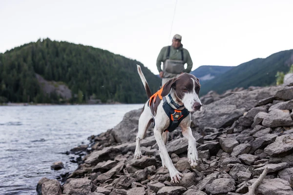 RUFFWEAR® Brush Guard™ накладка дополнительной безопасности (разгрузка) 