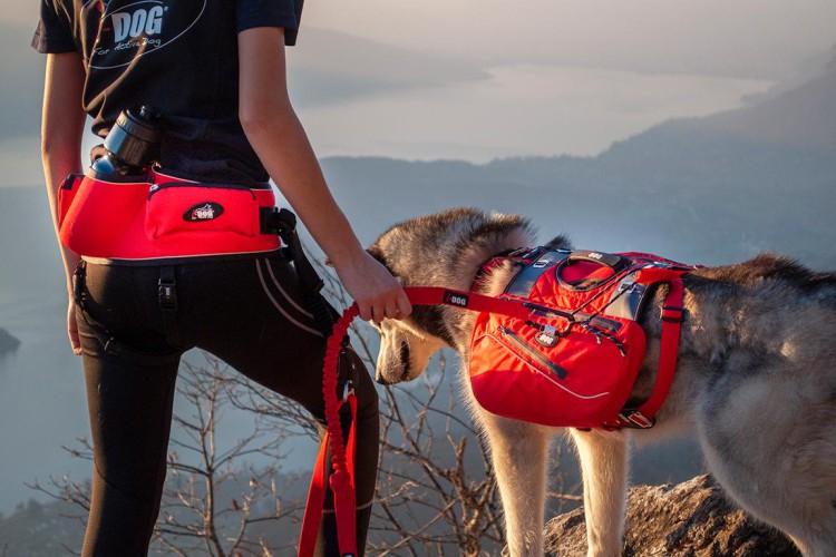 i-Dog® CONFORT TREK HIPBELT