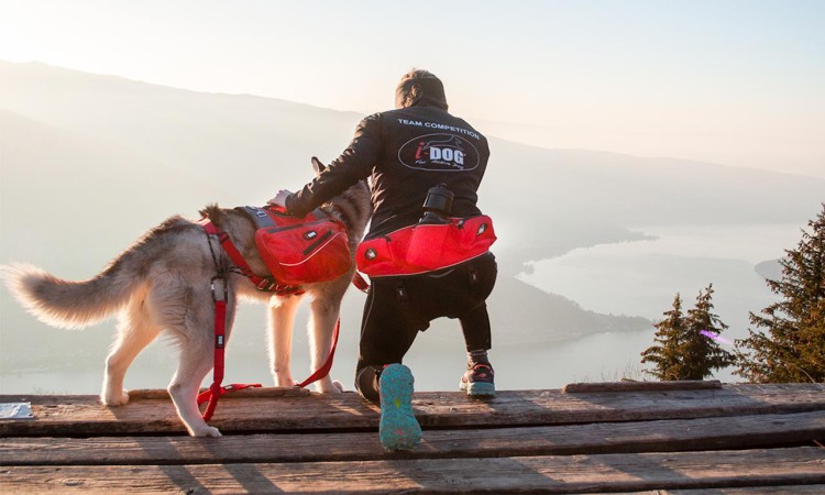 i-Dog® CONFORT TREK HIPBELT