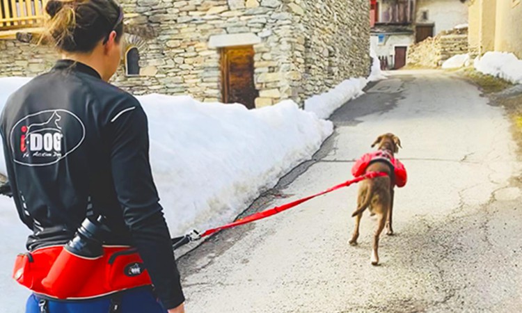 i-Dog® CONFORT TREK HIPBELT