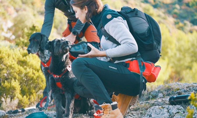 i-Dog® CONFORT TREK HIPBELT
