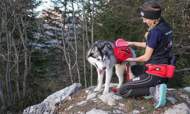 i-Dog® CONFORT TREK HIPBELT