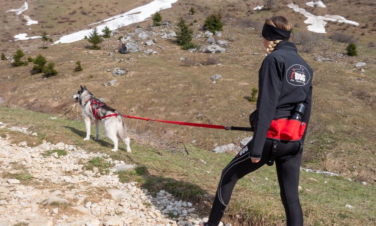 i-Dog® CONFORT TREK HIPBELT