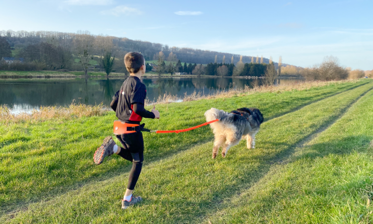 I-DOG® ONE LIGHT HIPBELT