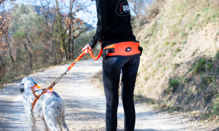 I-DOG® ONE LIGHT HIPBELT