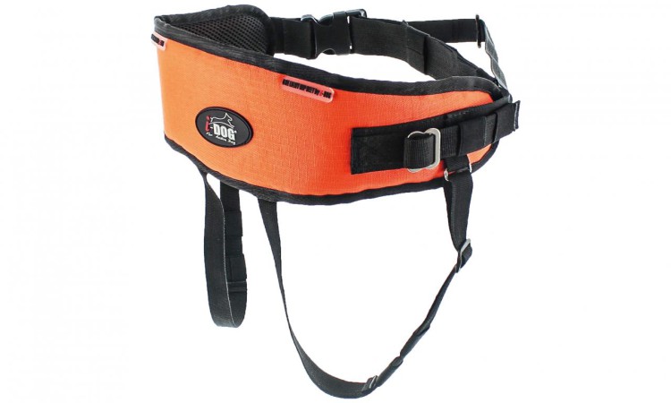 I-DOG® ONE LIGHT HIPBELT