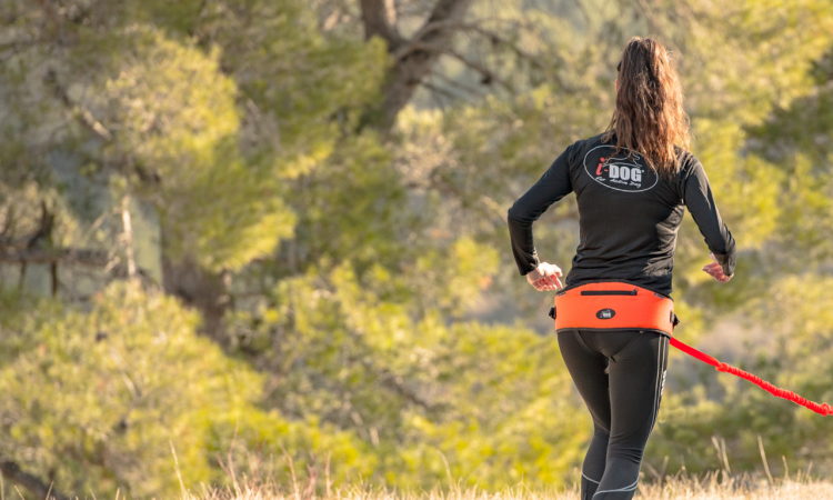 I-DOG® BAUDRIER ONE