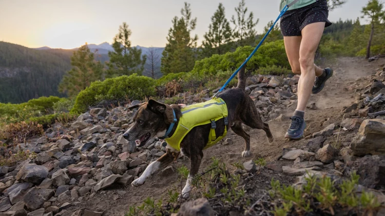 Ruffwear® Trail Runner™ поводок-потяг