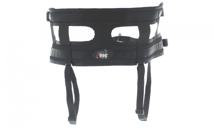 i-Dog® RAIDLIGHT HIPBELT