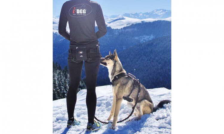 i-Dog® RAIDLIGHT HIPBELT