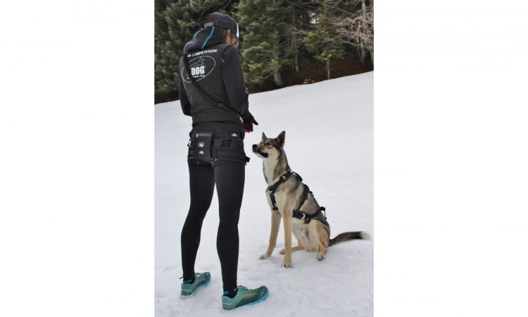 i-Dog® RAIDLIGHT HIPBELT