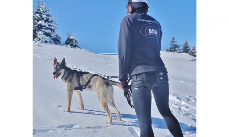 i-Dog® RAIDLIGHT HIPBELT