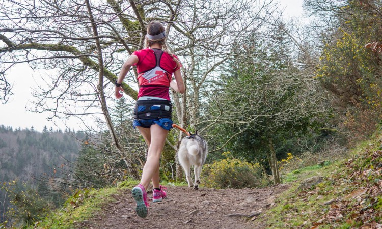 i-Dog® RAIDLIGHT HIPBELT