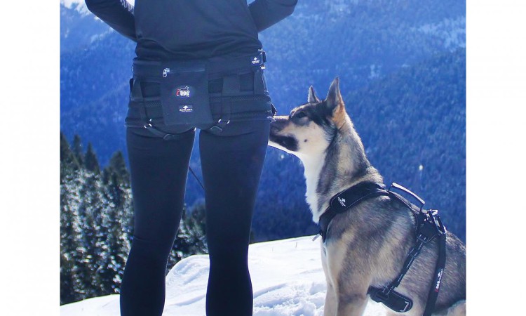 I-DOG® RAIDLIGHT POCKET