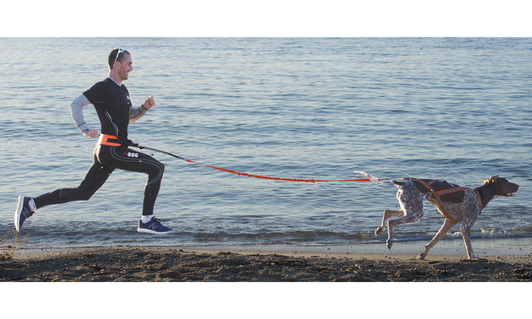 I-DOG® CANICROSS ONE TRACTION LEASH