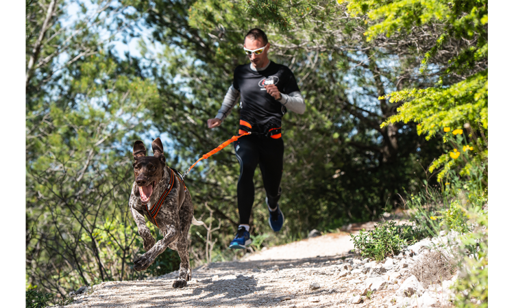 I-DOG® CANICROSS ONE TRACTION LEASH