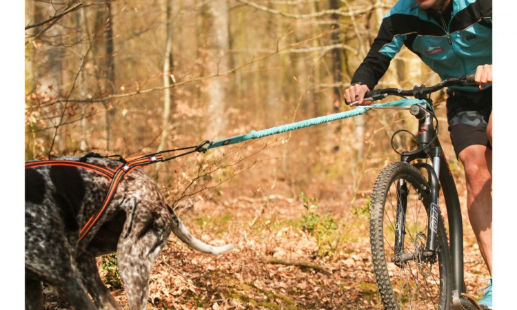 I-DOG® CANICROSS OPALE TRACTION LEASH