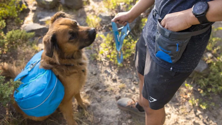 Сумочка для корма Ruffwear® Treat Trader ™