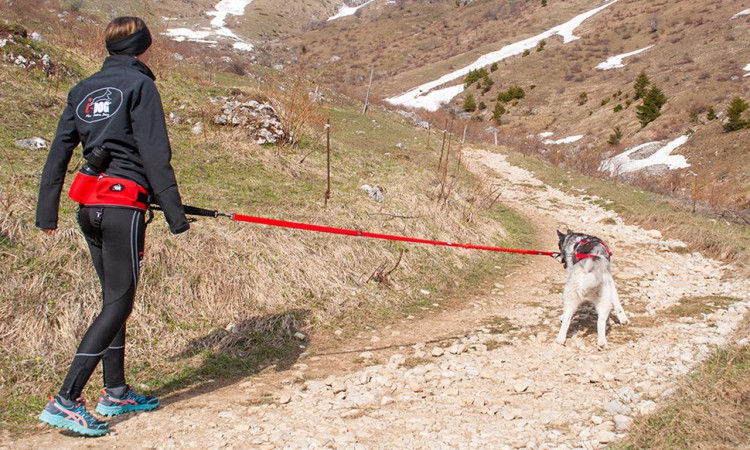 I-DOG® CONFORT TREK TRACTION LEASH