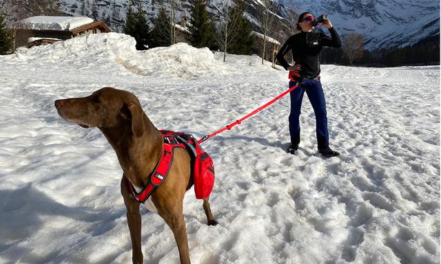 I-DOG® CONFORT TREK TRACTION LEASH
