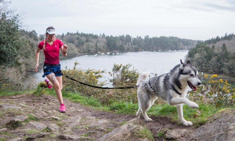 I-DOG® RAIDLIGHT TRACTION LEASH