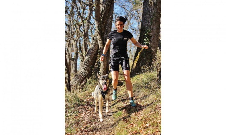 I-DOG® RAIDLIGHT TRACTION LEASH
