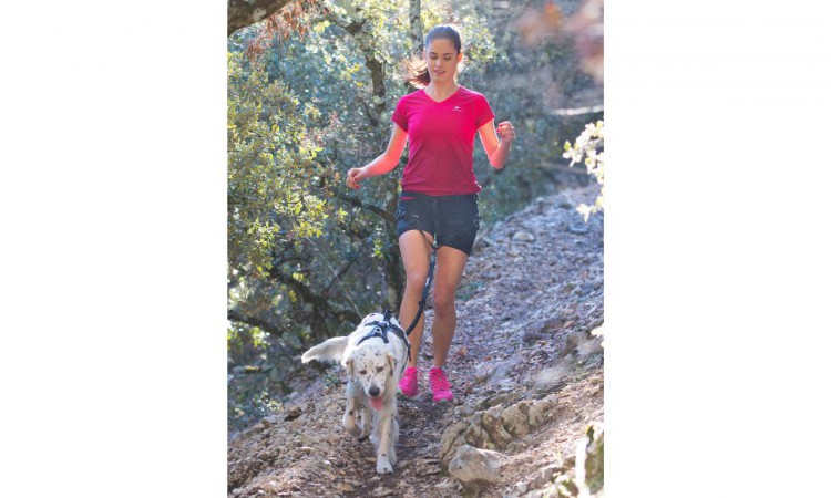 I-DOG® RAIDLIGHT TRACTION LEASH