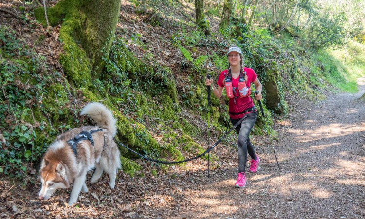 I-DOG® RAIDLIGHT TRACTION LEASH