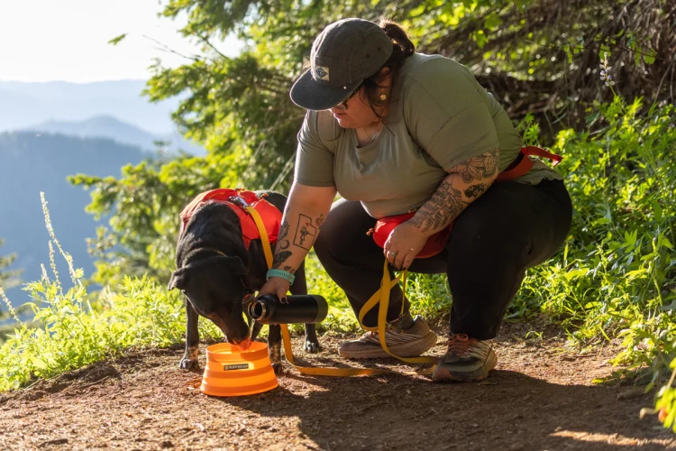 Ruffwear® Bivy Bowl™ - сверхлегкая, складывающаяся, водонепроницаемая миска 