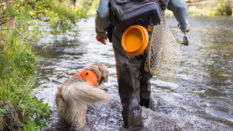 Ruffwear® Bivy Bowl™ - сверхлегкая, складывающаяся, водонепроницаемая миска 