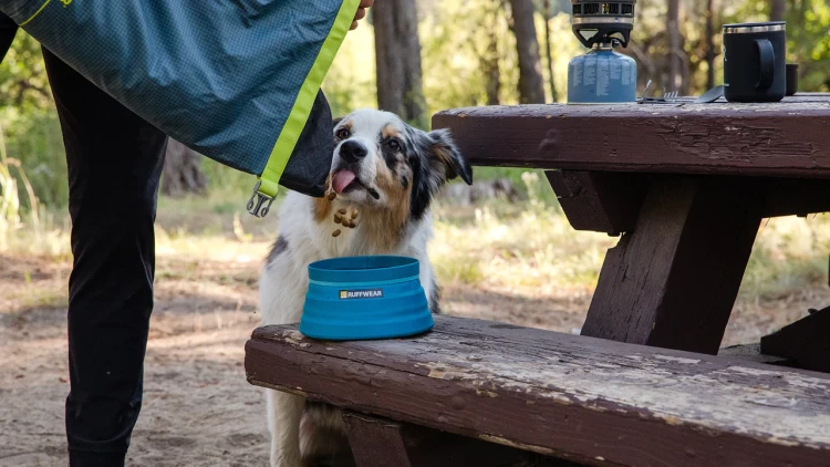 Ruffwear® Bivy Bowl™ - сверхлегкая, складывающаяся, водонепроницаемая миска 