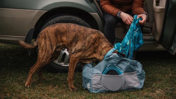 Ruffwear® Bivy Bowl™ - сверхлегкая, складывающаяся, водонепроницаемая миска 