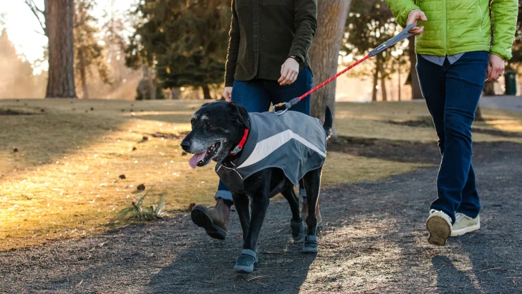 Ruffwear® Lumenglow™ Hi-Vis Dog Jacket светоотражающая попона 