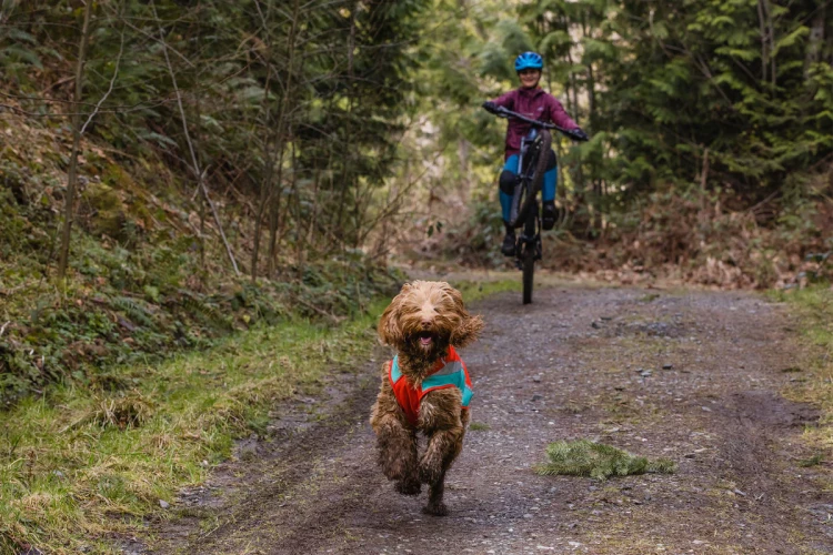 Ruffwear® Lumenglow™ Hi-Vis Dog Jacket светоотражающая попона 