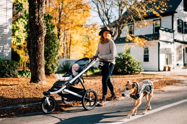 Ruffwear® Lumenglow™ Hi-Vis Dog Jacket светоотражающая попона 