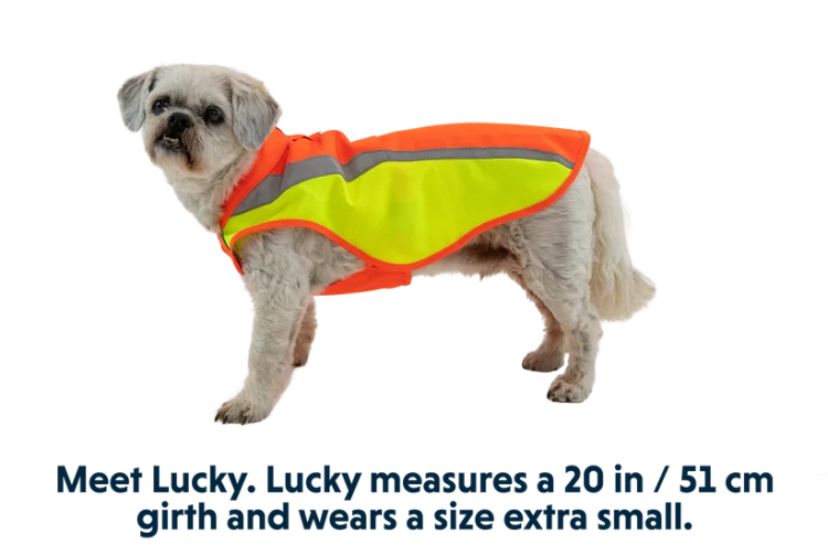 Ruffwear® Lumenglow™ Hi-Vis Dog Jacket светоотражающая попона 
