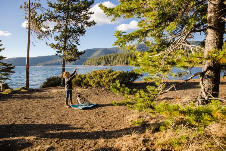 Ruffwear® KNOT-A-HITCH™ система скользящего крепления 